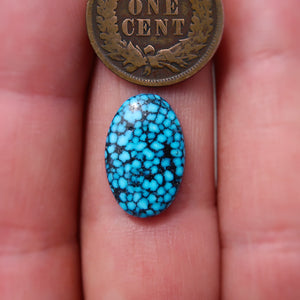 Kingman Black Web Turquoise