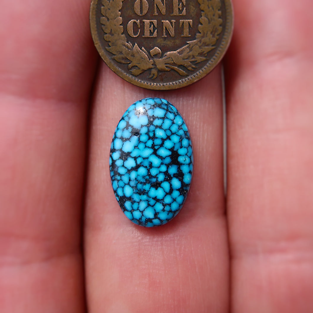 Kingman Black Web Turquoise